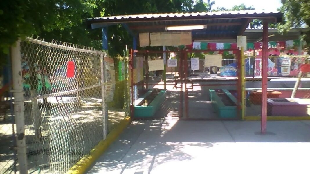 amado_nervo_brote_virus