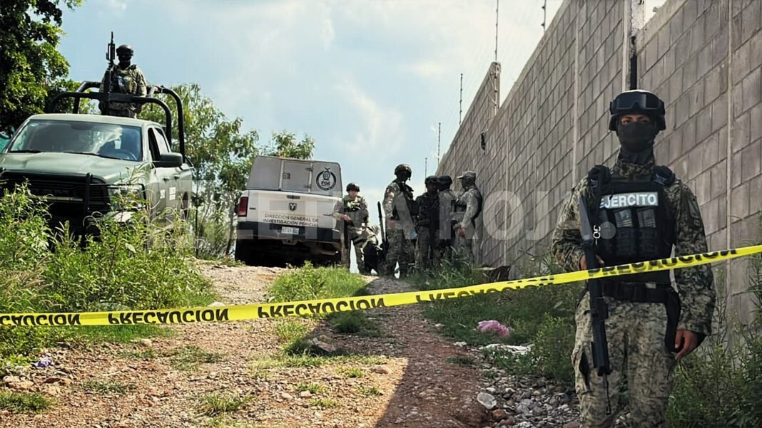 cadaver_descomposicion_progreso