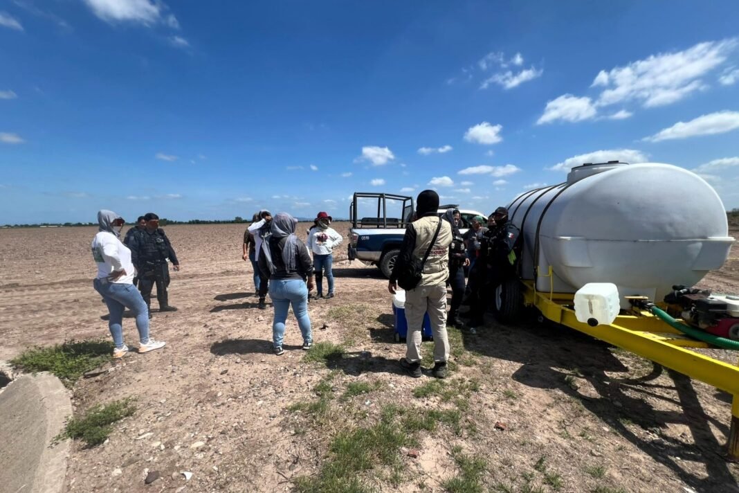 cadaver_en_descomposicion_navolato