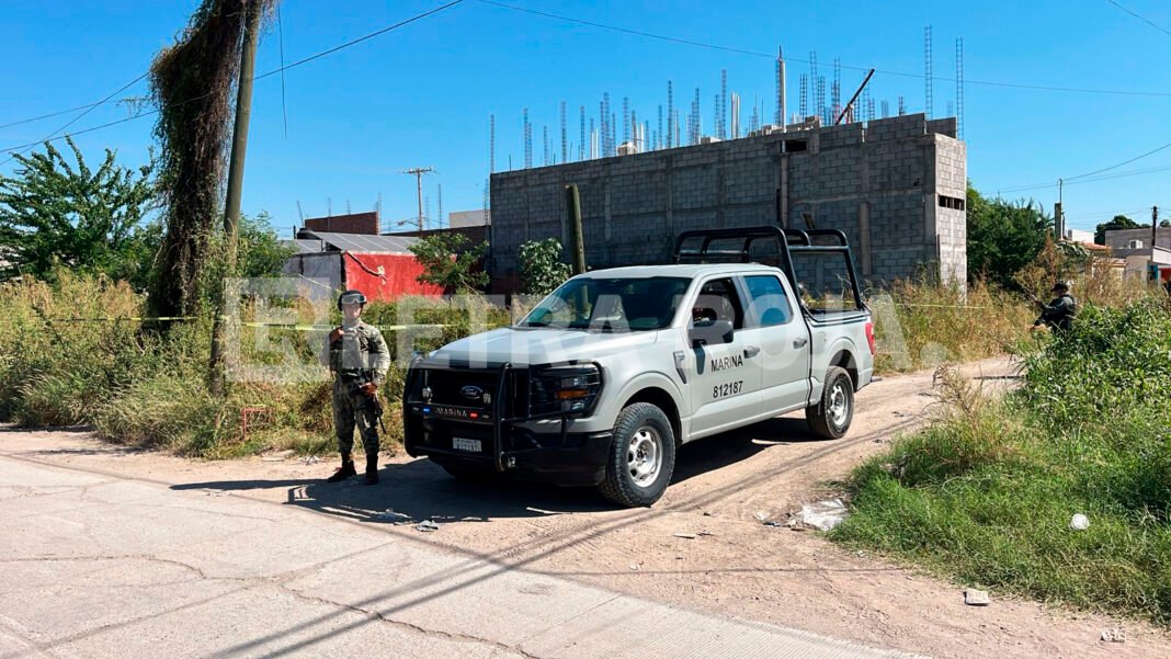 cadaver_sector_bachigualato