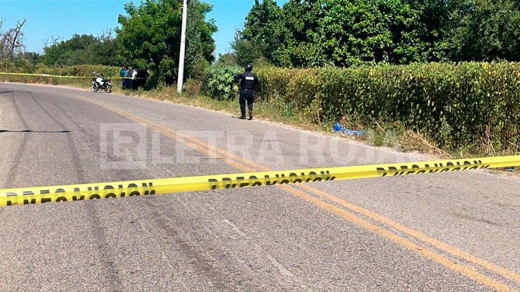 los_arredondo_navolato