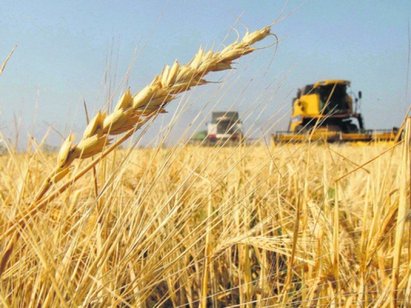 DESTIARAN-APOYOS-A.TRIGUEROS-DE-SINALOA