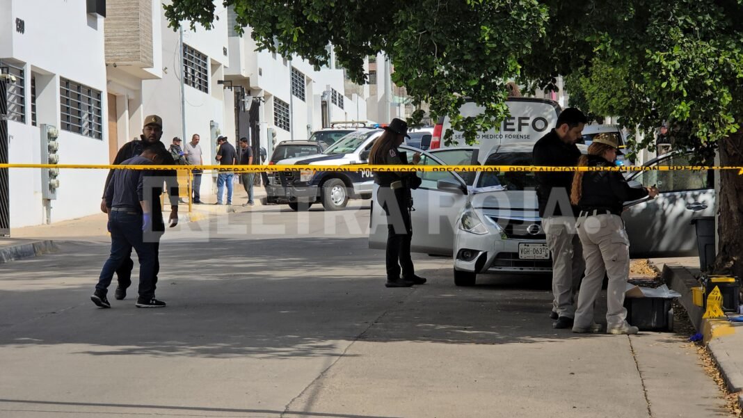 carlos-adan-asesinado-cañadas