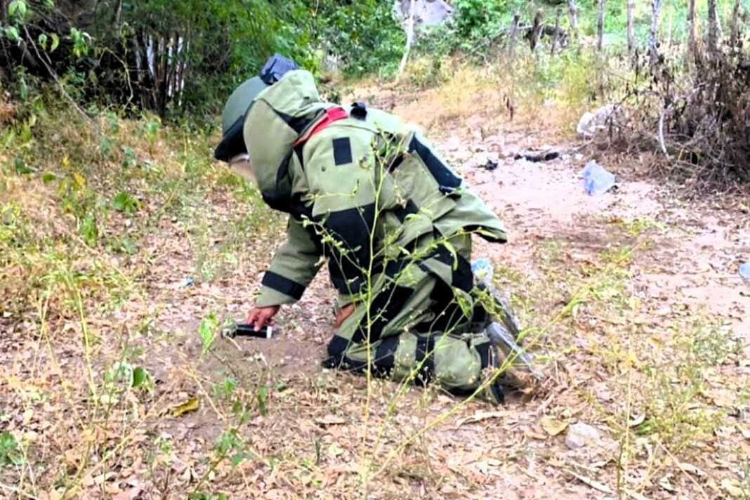 celula_explosivos_ejercito