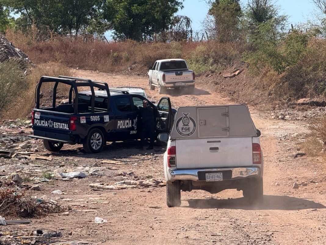 colectivo_localiza_osamenta_ranchito