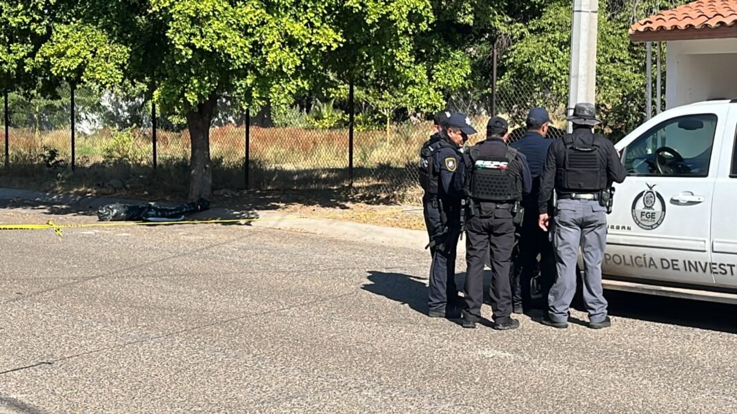 encuentra-a-tortillero-sin-vida