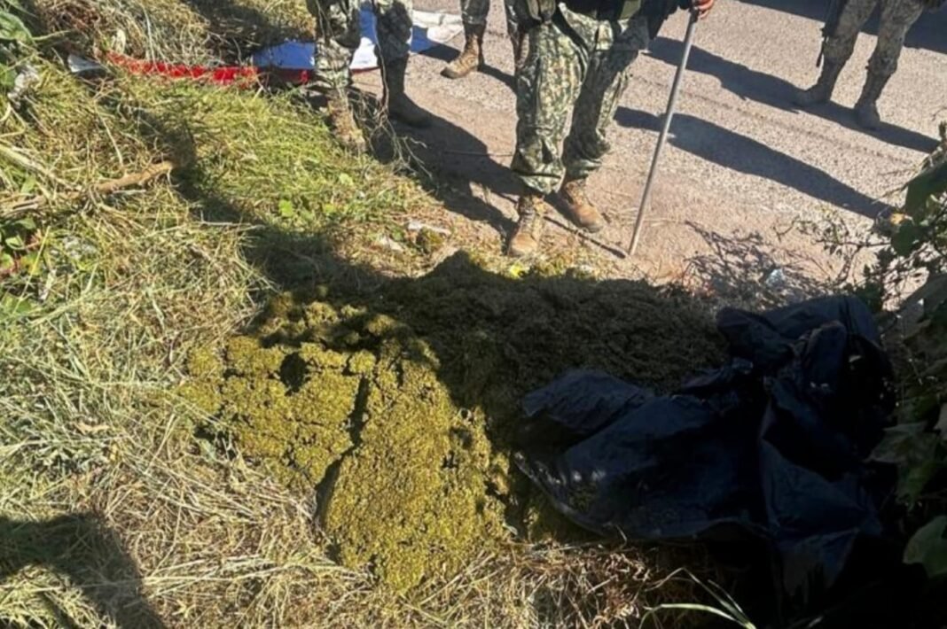 mariguana_capistrano