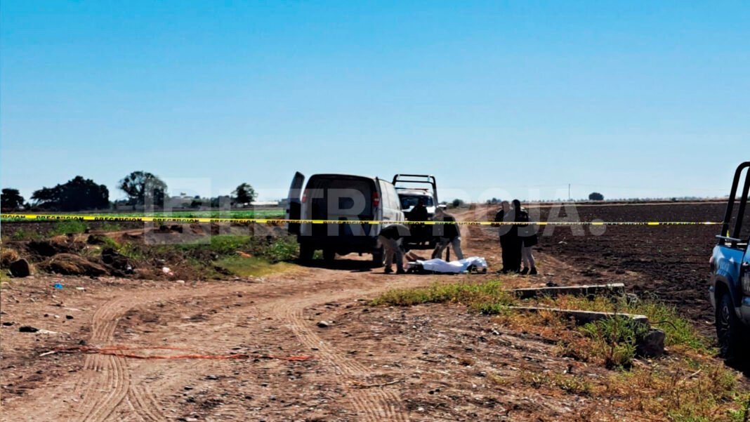 muertos-tierras-de-cultuvo