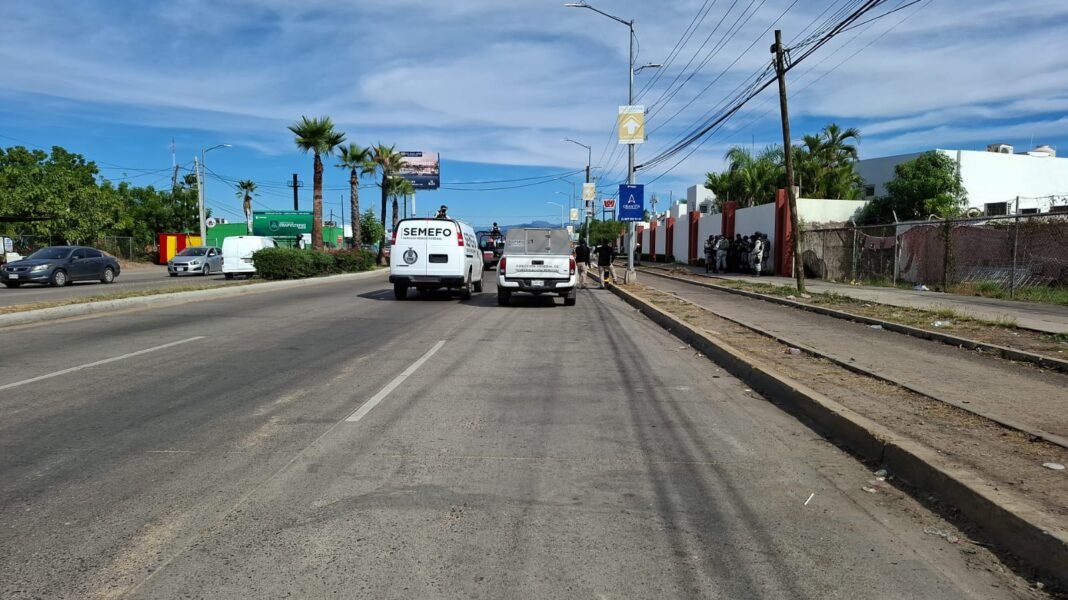 Hielera-cabeza-humana