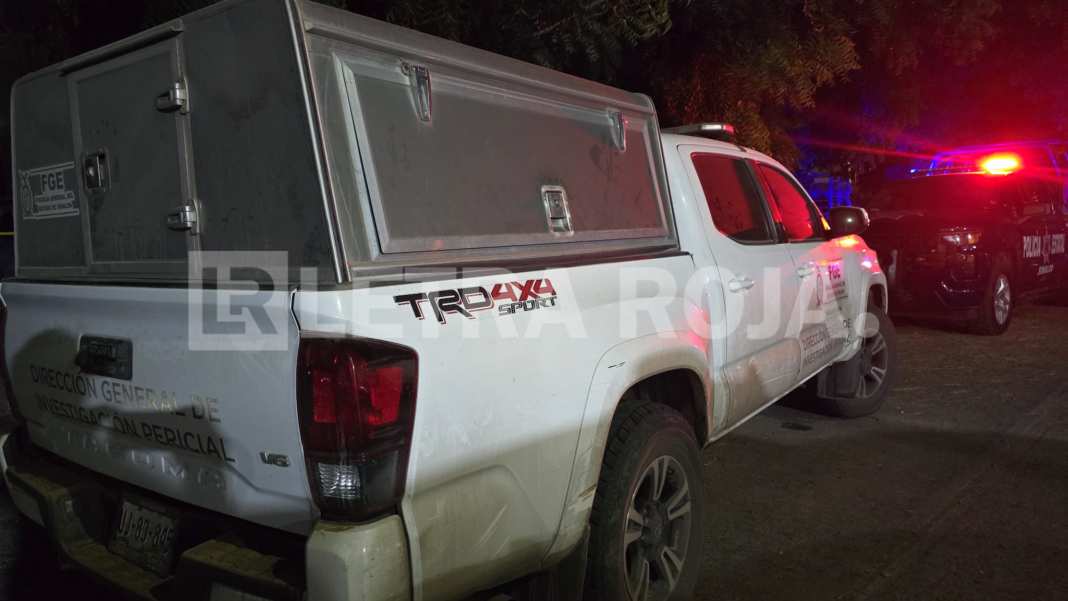 feminicidio-sanalona