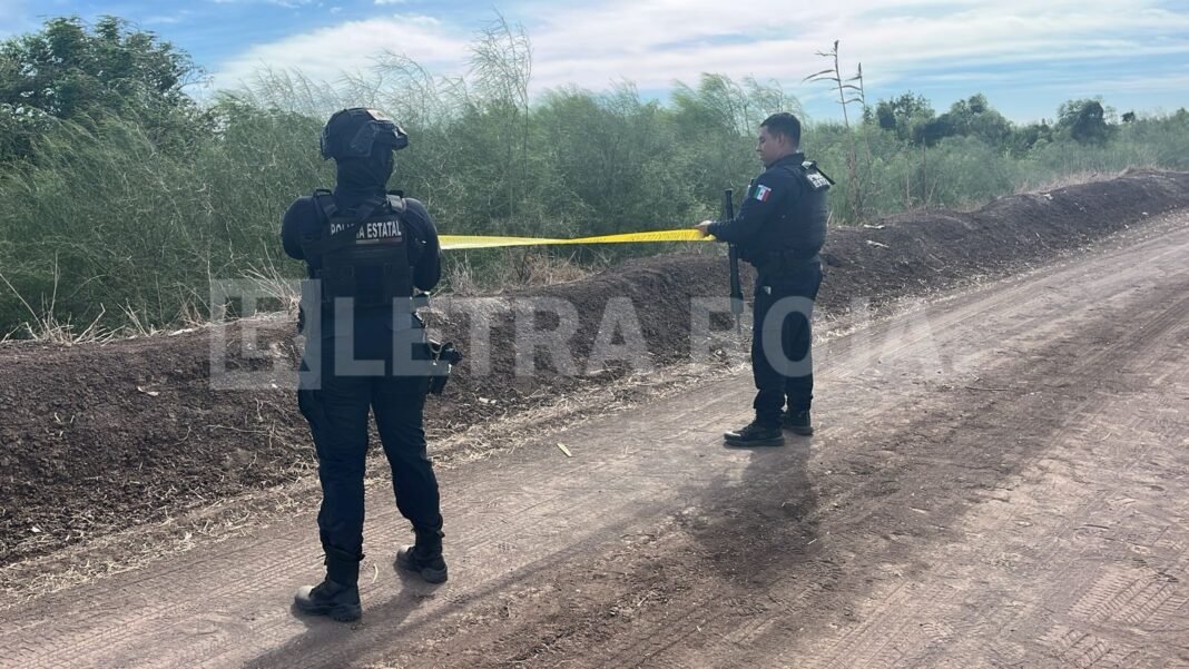 Diseño sin título_20260107_132315_0000