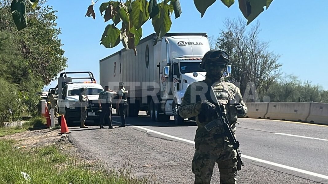 Diseño sin título_20260216_183546_0000