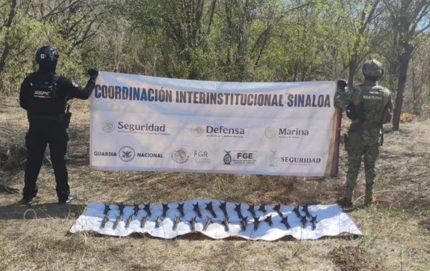 WhatsApp Image 2026-02-13 at 5.29.56 PM