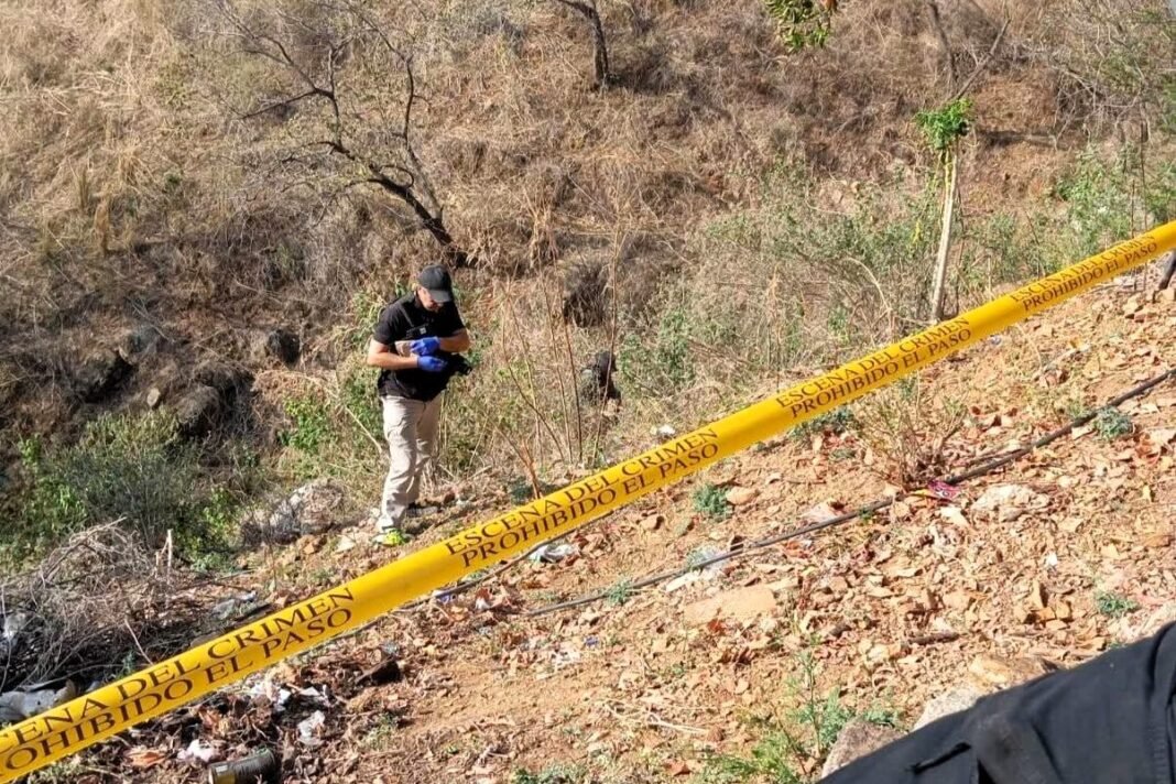 osamenta-fiscalia-reporte