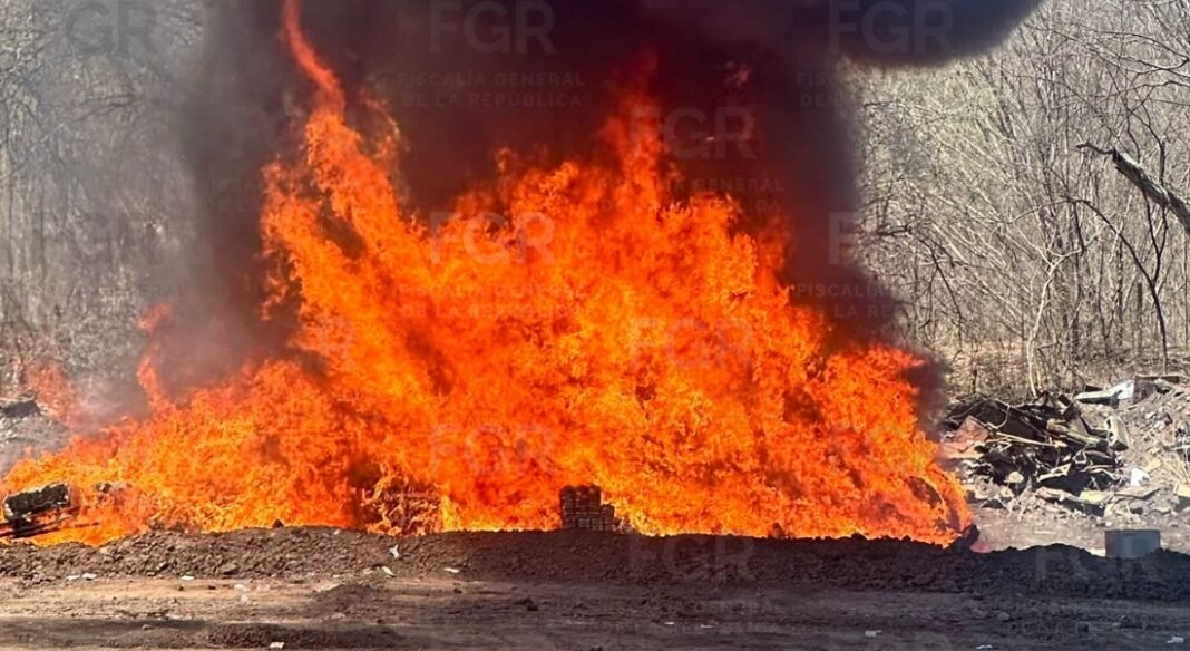 incineracion-narcoticos-fgr