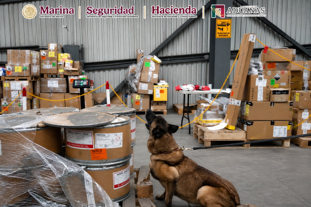 eadb33b2-9c60-44a4-88e5-2c9b7053dce2